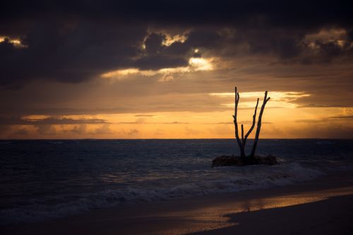 Tropical Beach Sunrise