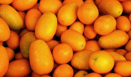 tropical fruit fruit orange