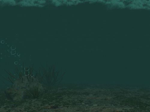 Tropical Underwater Background