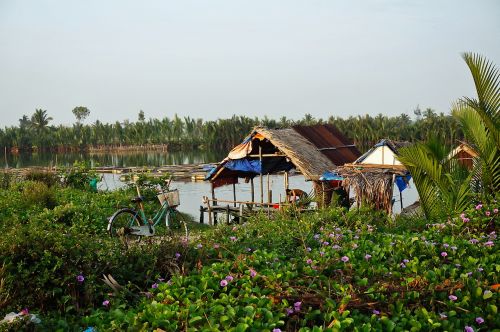 tropics landscape shack