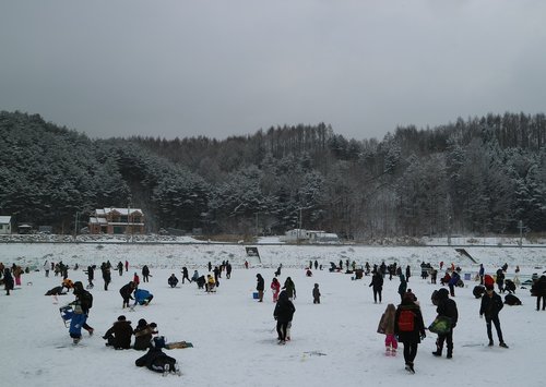 trout festival  pyeongchang  winter call now