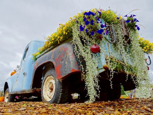 truck retro flowers