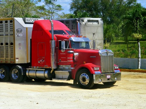 truck  american  vehicle
