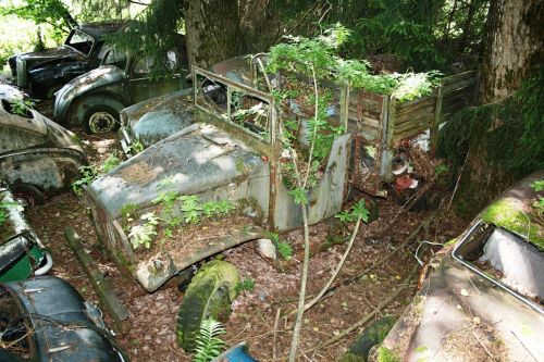truck car cemetery old