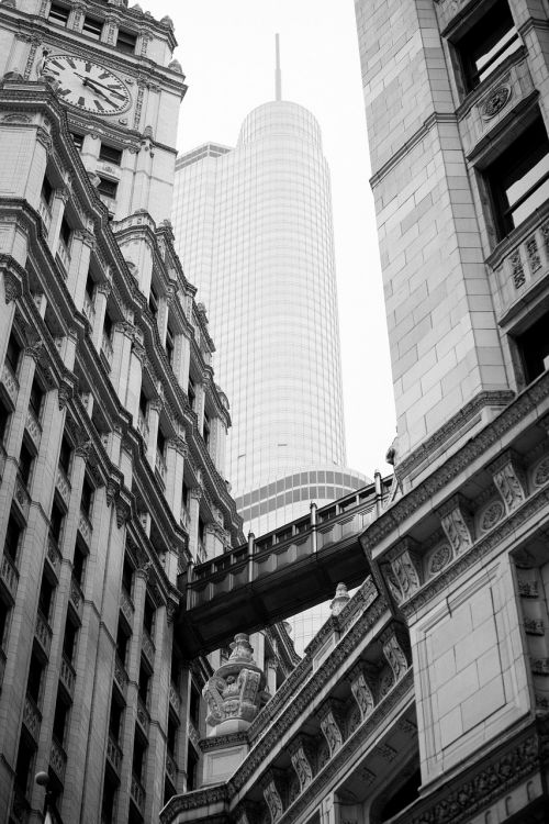 trump tower chicago skyscrapers