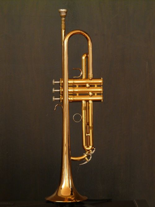 trumpet brass instrument instrument