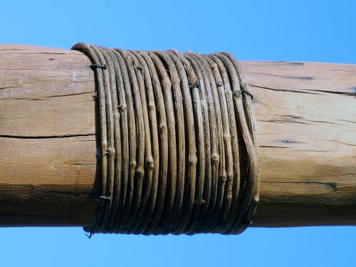 trunk rope loop