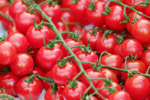 trusses tomatoes red