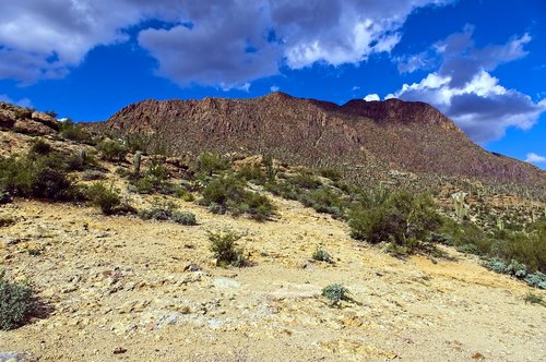 tucson mountain park  desert  mountain