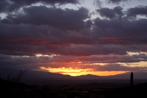 Tucson Sunrise