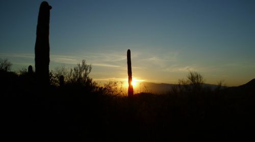 Tucson Sunrise 2012