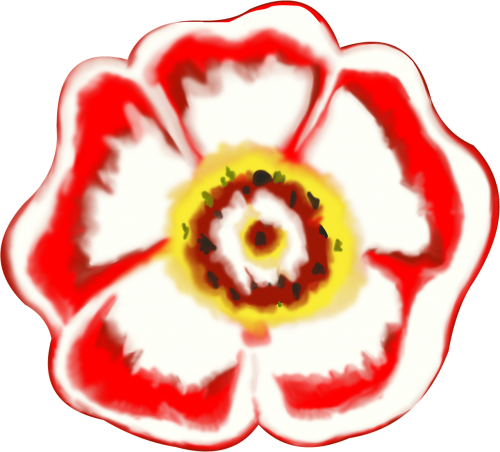 tudor rose petal