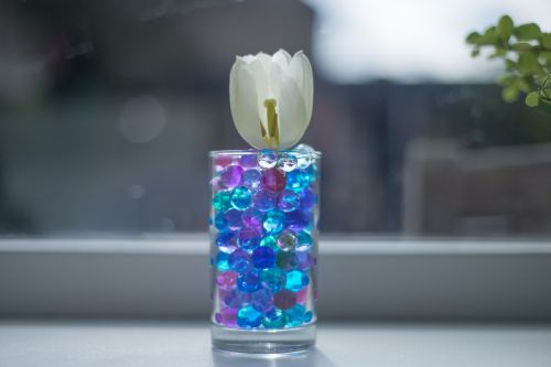 tulip pebbles glass