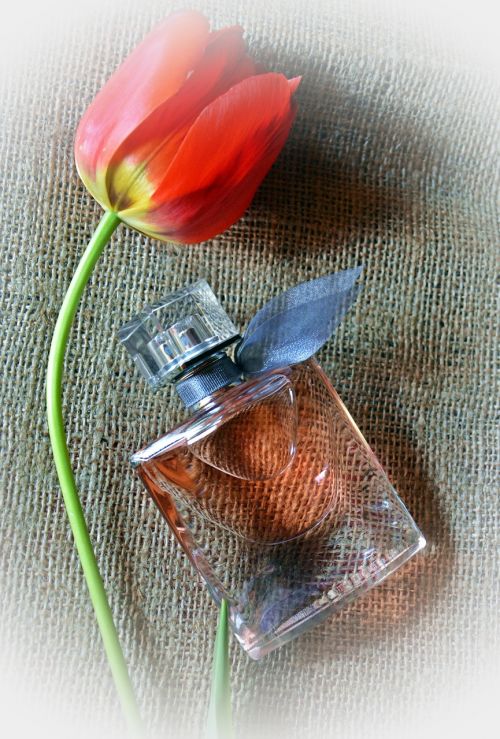 tulip perfume feeling