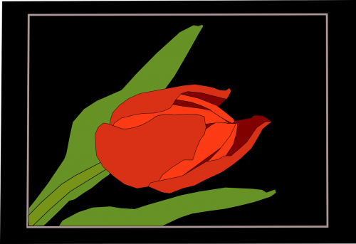 tulip red frame