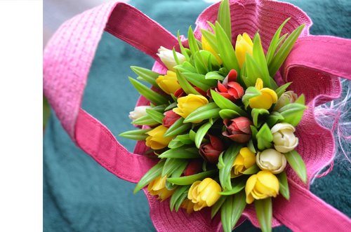 tulip  spring  bouquet
