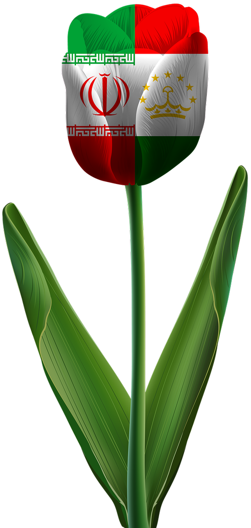 tulip  iran  tajikistan