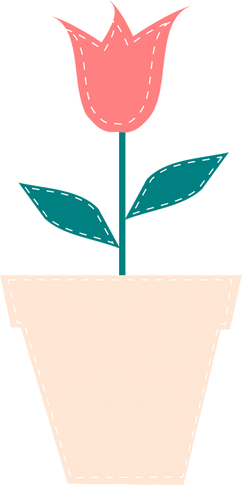 tulip flowerpot flower