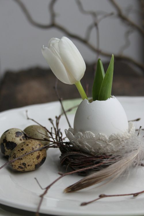 tulip egg easter decoration