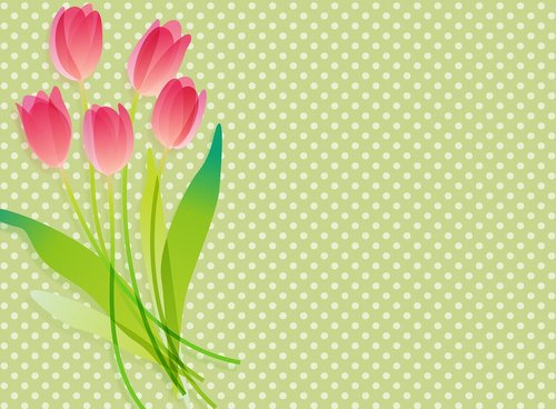tulip background  green polka dot  spring background