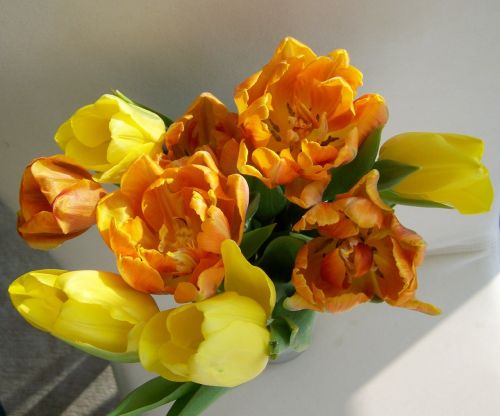 tulip bouquet cut flower yellow-orange