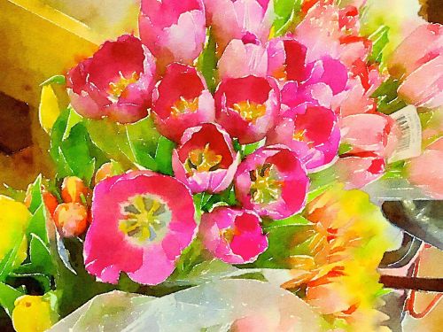 tulips watercolor digital