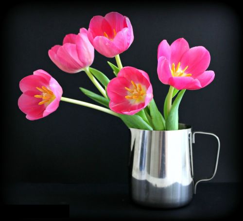 tulips flower jug