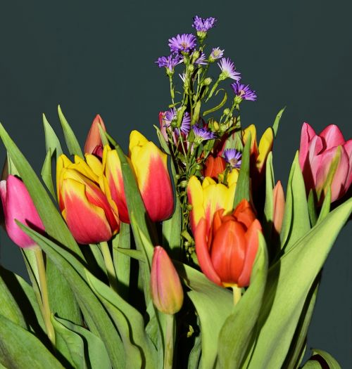 tulips bouquet spring greetings