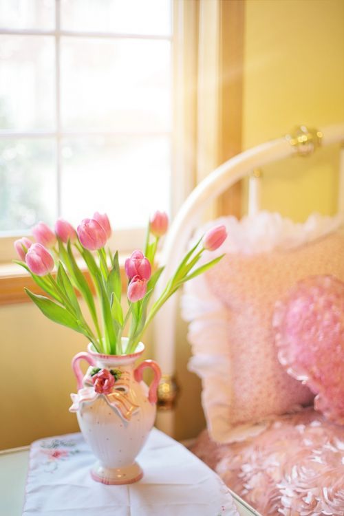 tulips pink bed