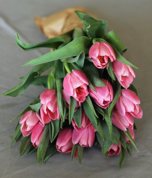 tulips bouquet flowers