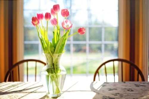 tulips vase spring
