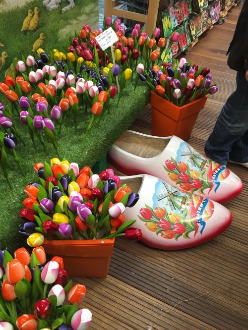 tulips shoe amsterdam