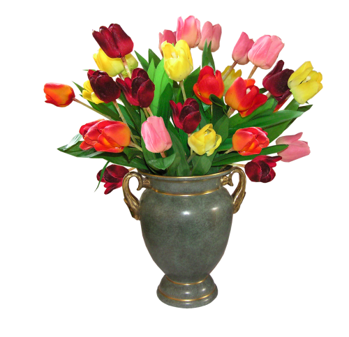 tulips flowers vase