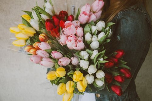 tulips flowers bouquet