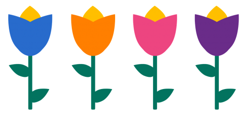 tulips flowers flower