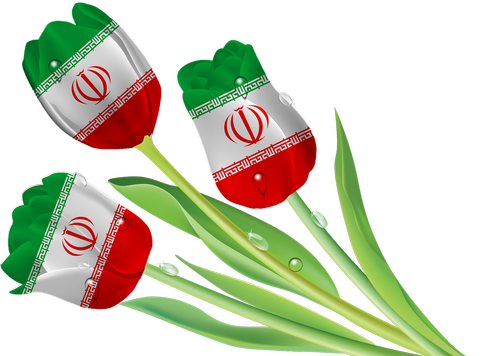 tulips  iran  tajikistan