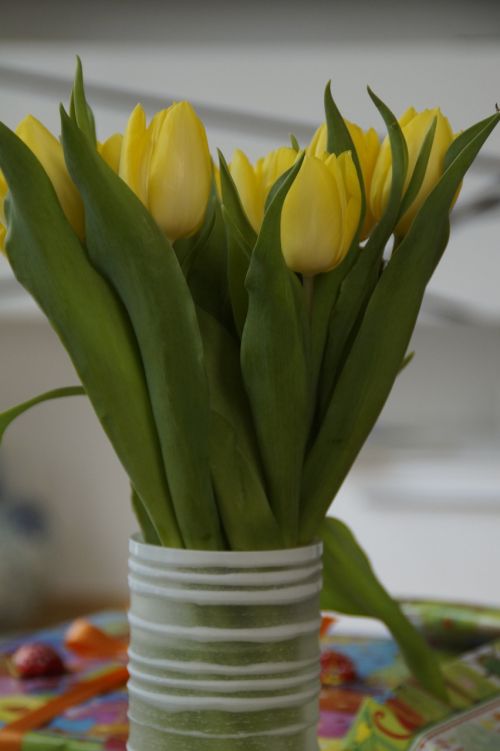 tulips tulip bouquet bouquet