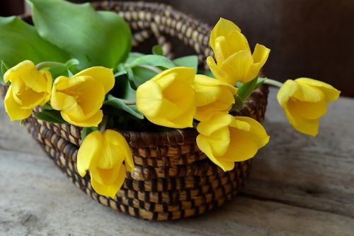 tulips cut flowers flower basket