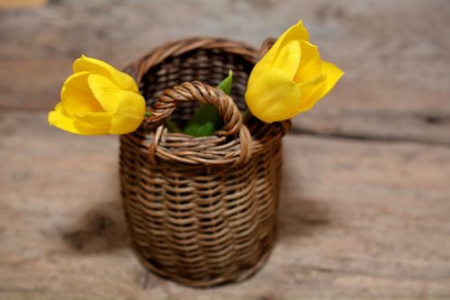 tulips yellow basket