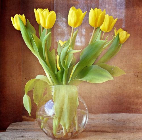 tulips bouquet yellow flowers