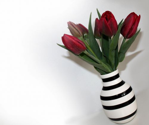 tulips bouquet vase