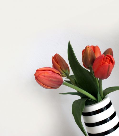 tulips vase bouquet