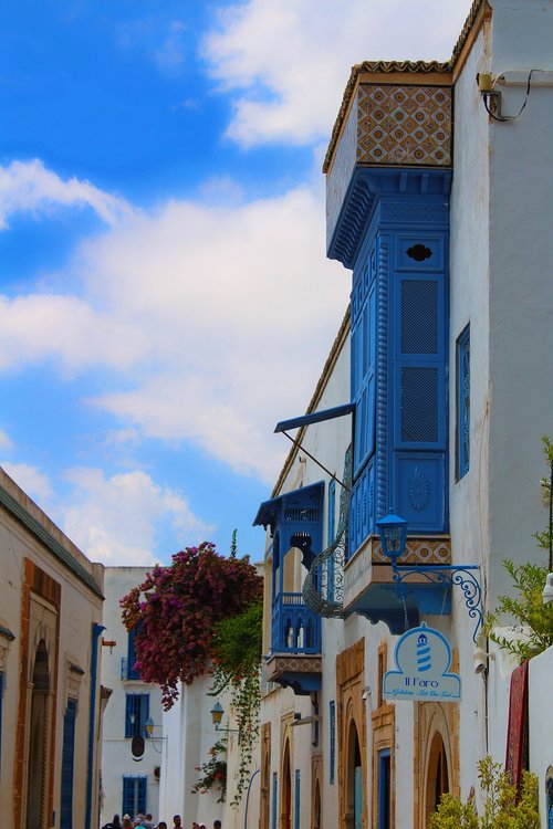 tunis  sidi bou said  tunisia