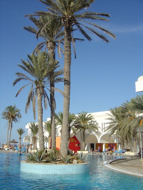 tunisia hotel palm