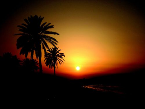 tunisia sunset holiday