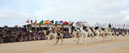 tunisia camel racing festival