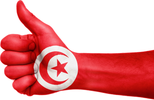 tunisia flag hand