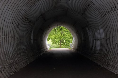 tunnel  tree  light