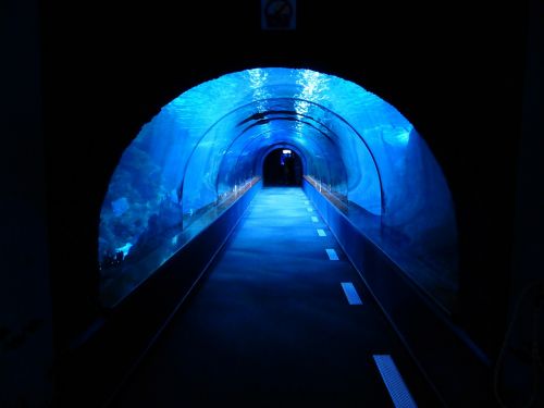 tunnel underwater aquarium