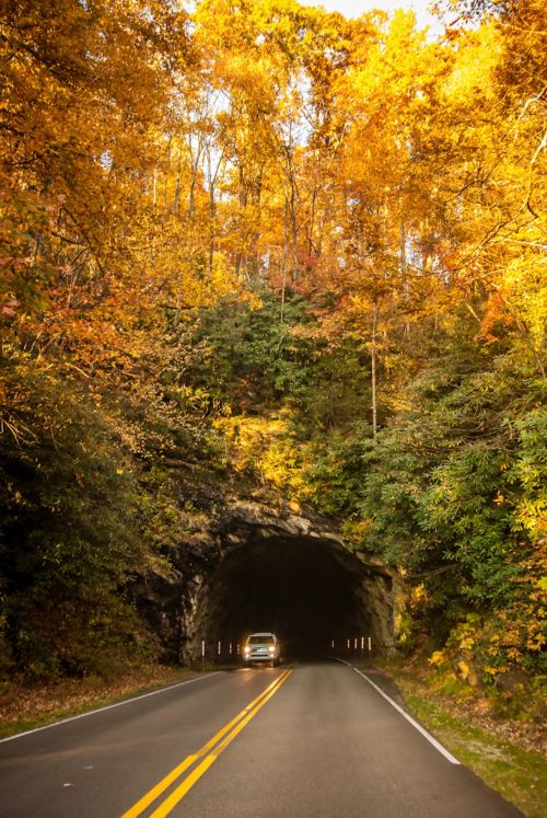 Tunnel In The Mountain